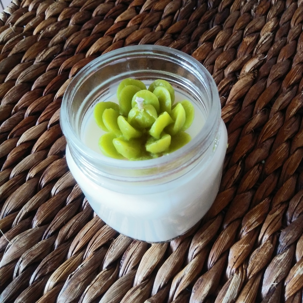 Handmade Fragranced Succulent Soy Candle 7 oz - Picture 4 of 6